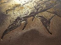 Wasserläufe im Sand bei Gegenlicht